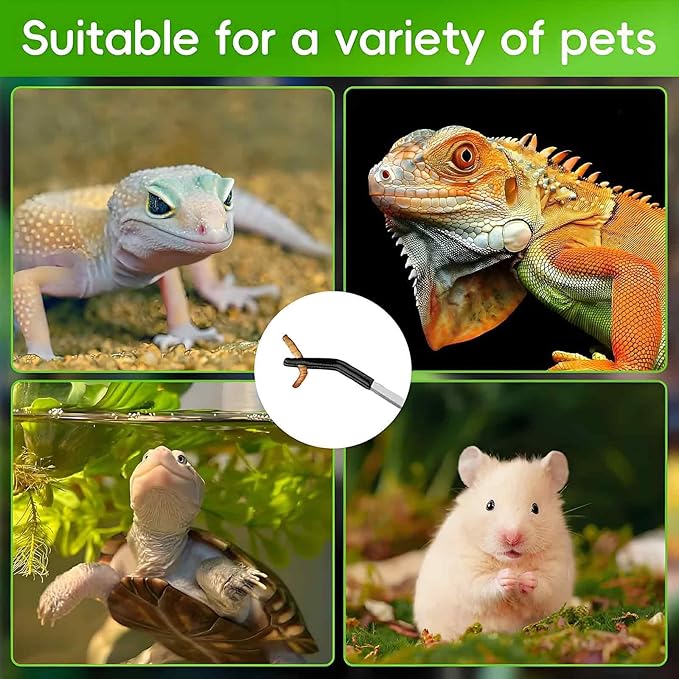 Reptile Feeding Tongs & Hammock Set, Stainless Steel Feeding Tongs Rubber Tip for Reptiles, Breathable Mesh Hammock for Bearded Dragon