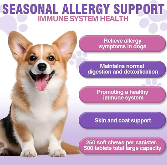 Dog Allergy Chews 500PCs， Dog Allergy and Itching Skin Relief Anti Itch Aller Immune Bites for Dogs Itching Licking Paws Treatment Relief Itchy Chew Probiotics Vitamins for Skin and Coat Allergies