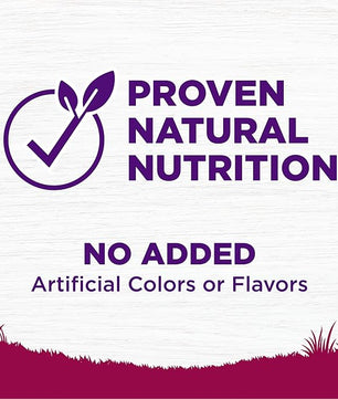 Wellness Complete Health Small Breed Dry Dog Food with Grains, Natural Ingredients, Made in USA with Real Turkey, For Dogs Up to 25 lbs (Adult, Healthy Weight Turkey & Rice, 4-Pound Bag)