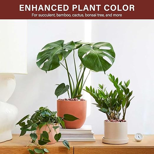 NUPICK 6 lbs Pebbles for Indoor Plants, 1/5 Inch Pea Gravel for Fish Tank, Polished Decorative Rocks for Succulent, Natural River Stones for Vases, Cactus, Landscaping, Bird Bath, Aquarium, Red