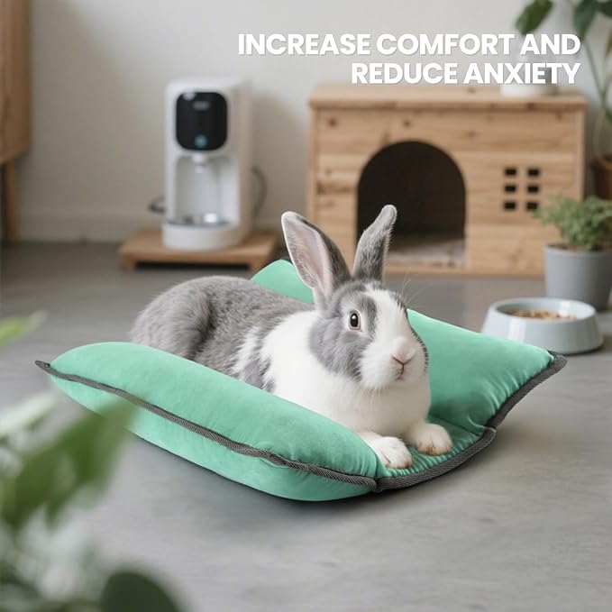 Rabbit Bed, Washable Bunny Pillow, Reversible Lounger Pad, Soft Small Animal Bedding, Stress Relief Pet Mat for Kittens, Guinea Pigs, Puppies