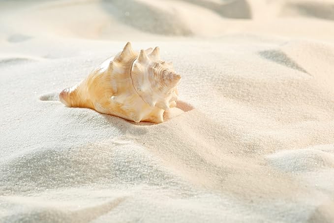 LANDEN NanshaPure Natural Sand 11lbs (3L) for Reef or Hardwater Aquarium, Premium Aragonite Cosmetic Sand for Saltwater and Marine Aquascape, Substrate for Cichlid, Harlequin Shrimp and Hermit Crab