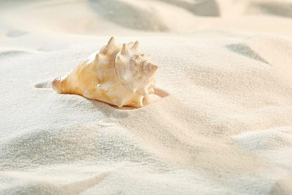 LANDEN NanshaPure Natural Sand 11lbs (3L) for Reef or Hardwater Aquarium, Premium Aragonite Cosmetic Sand for Saltwater and Marine Aquascape, Substrate for Cichlid, Harlequin Shrimp and Hermit Crab