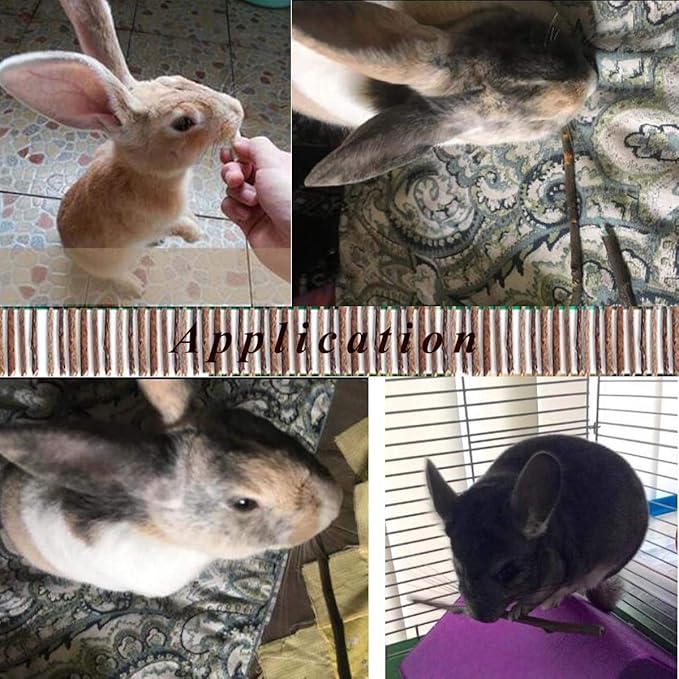 William Craft Apple Sticks Pet Chew Toy Treats for Chinchilla Guinea Pigs Rabbits Squirrel Hamster Bunny