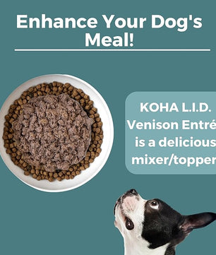 KOHA Limited Ingredient Diet Venison Entrée for Dogs - Grain Free Wet Dog Food with No Fillers - Sensitive Stomach Venison Dog Food, 13 oz - Trial Pack (3 Cans)