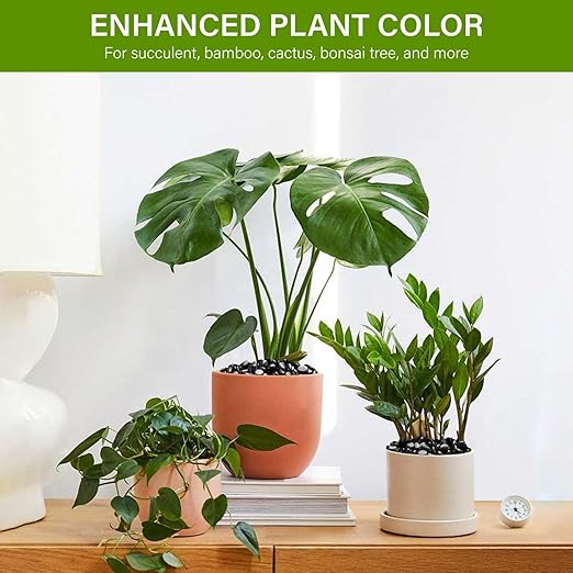 NUPICK 3lb River Rocks for Plants Indoor, 3/8 Inch Black Pebbles for Vases Fillers, Decorative Pea Gravel for Fish Tank, Natural Polished Stones for Succulent, Bonsai, Landscaping, Bird Baths