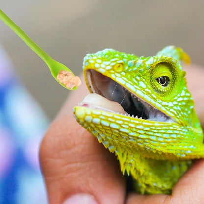 4Pcs Reptile Feeding Spoon Crested Gecko Food Mixing Spoon fit Lizard Gargoyle Bearded Dragon
