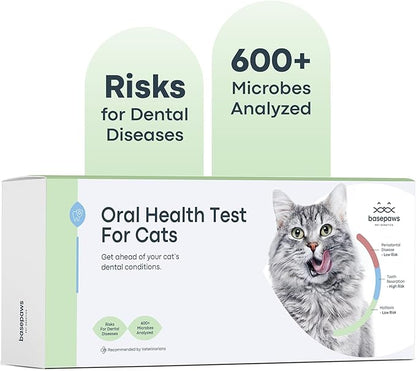 Basepaws Cat Dental Health Test | Provides Risk Scores for Oral Conditions: Periodontal Disease, Bad Breath, Tooth Resorption | Report Includes Personalized Care Recommendations