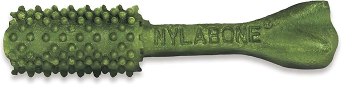 Nylabone Nutri Dent Dog Dental Chews - Natural Dog Teeth Cleaning & Breath Freshener - Dental Treats for Dogs - Fresh Breath Flavor, Medium (20 Count)