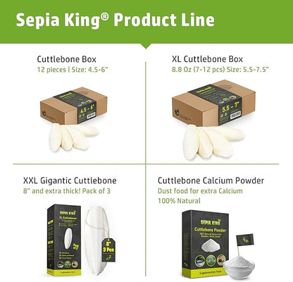 Extra Large - 100% Natural Calcium Supplement - Premium Cuttlebone Perfect for Birds, Tortoises, Snails, Reptiles - Pack of 3