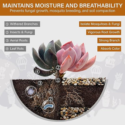 NUPICK 6lb River Rocks for Plants Indoor, 3/8 Inch Mixed Pebbles for Vase Fillers, Decorative Pea Gravel for Fish Tank, Natural Polished Stones for Succulent, Bonsai, Landscaping, Bird Baths