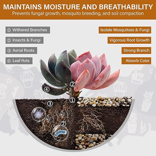 NUPICK 12lb River Rocks for Plants Indoor, 3/8 Inch Mixed Pebbles for Vase Fillers, Decorative Pea Gravel for Fish Tank, Natural Polished Stones for Succulent, Bonsai, Landscaping, Bird Baths