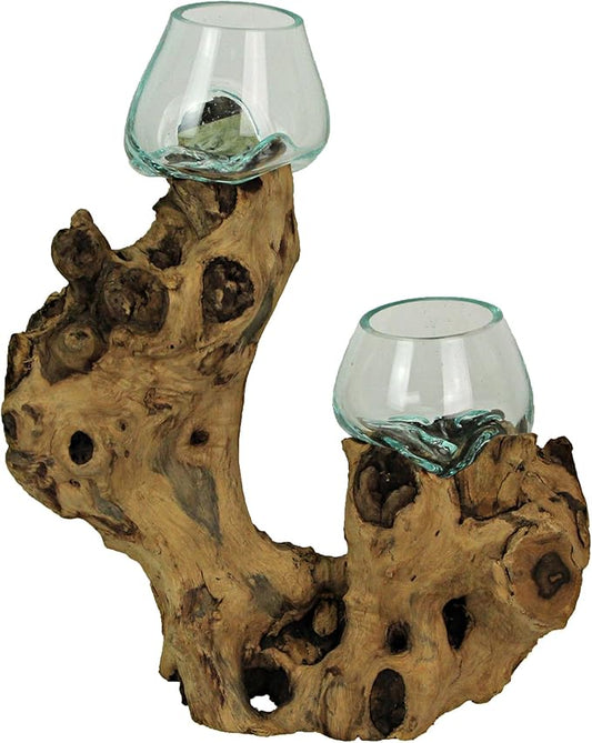 Molten Glass On Root Wood Double Decorative Bowl Vase Plant Terrarium - Boho Style for Tabletops