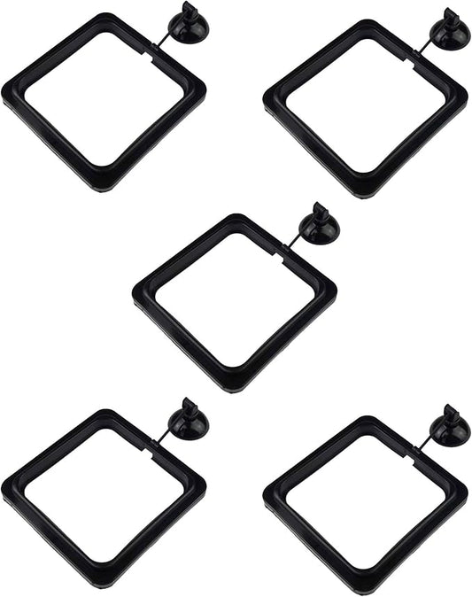 5 Pack Aquarium Fish Feeding Ring Floating Food Feeder, Square Shape with Suction Cup, Black