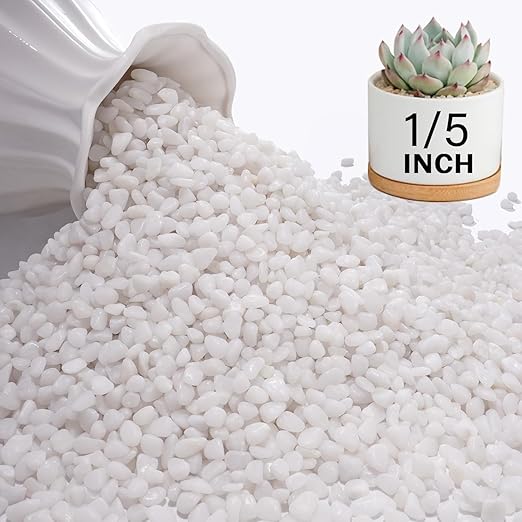 NUPICK 6 lbs Pebbles for Indoor Plants, 1/5 Inch Pea Gravel for Fish Tank, Polished Decorative Rocks for Succulent, Natural River Stones for Vases, Cactus, Landscaping, Bird Bath, Aquarium, White