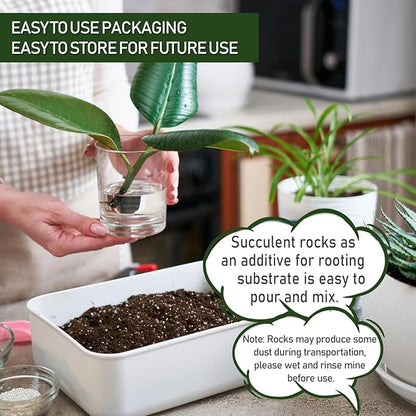 5 LBS White Pea Gravel, Natural Succulent and Cactus Gravel Pebbles, Pebbles for Indoor Plants, Natural Gardens Mulching, for Houseplants, for Aquarium Gravel, to Maintain Soil Aeration(4-6mm)