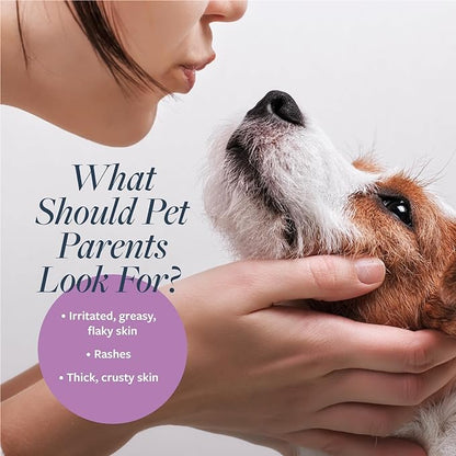 Veterinary Formula Clinical Care Antiparasitic & Antiseborrheic Medicated Dog Shampoo, 128oz – Help Alleviate Your Dog's Flaky Skin and Coat – Paraben, Dye, Soap Free