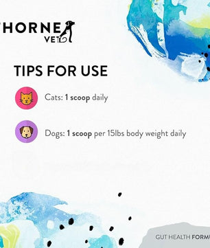 ThorneVET Gut Health Formula – Gastrointestinal Support for Dogs, Cats & Horses, 180 Scoops