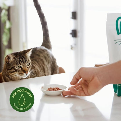 smallbatch Freeze-Dried Raw Cat Food, Shelf Stable Food Bites, Beef Recipe, High Protein Meal or Topper for Cats, Humanely Raised Meat, Organic, Non-GMO Produce, Made in The USA, 10oz Bag