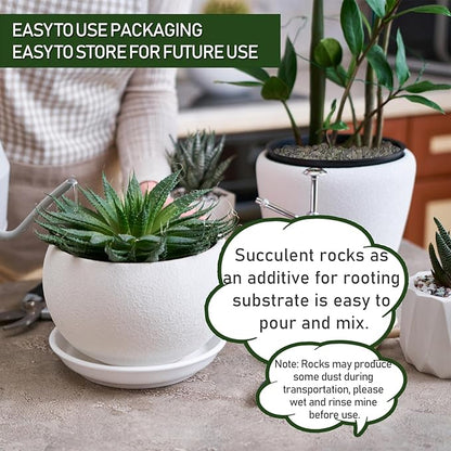 2 LBS Green Pea Gravel, Natural Succulent and Cactus Gravel Pebbles, Pebbles for Indoor Plants, Natural Gardens Mulching, for Houseplants, for Aquarium Gravel, to Maintain Soil Aeration(4-6mm)