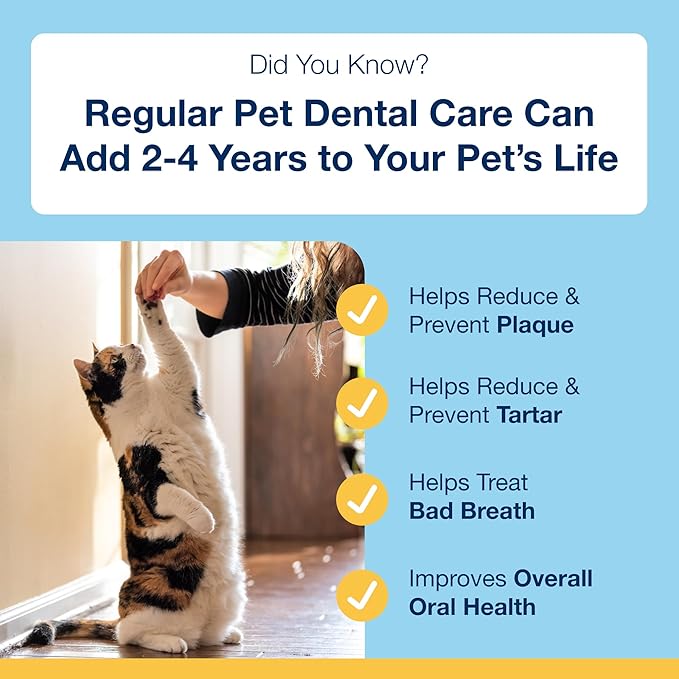 ProDen PlaqueOff Scoopables: Salmon-Flavored Dental Bites for Cats - Natural Kelp Formula for Plaque & Tartar Control, Freshens Breath- 45 Scoops