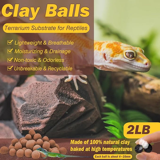 ZeeDix 2LBS Expanded Clay Balls for Reptile Terrarium Substrate - 100% Natural Lightweight Clay Pebbles Substrate, Bioactive Terrarium Substrate for Frogs Bearded Dragon Tortoises Snake Bedding