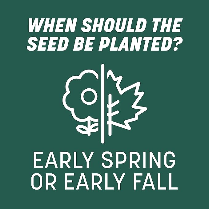 Pennington Smart Seed Sun and Shade Grass Mix 20 lb, Black Label