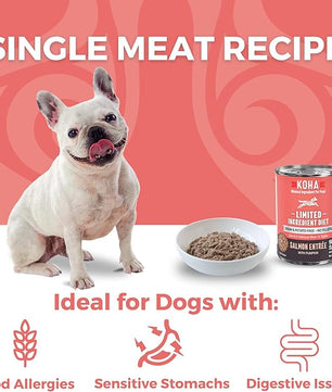 KOHA Limited Ingredient Diet Salmon Entrée for Dogs - Dog Food Toppers for Picky Eaters - Sensitive Stomach Canned Dog Food - Pate Dog - 13 oz Pack of 12