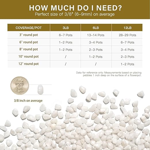 NUPICK 12 lbs Pebbles for Indoor Plants, 3/8 Inch Pea Gravel for Fish Tank, Polished Decorative Rocks for Succulent, Natural River Stones for Vases, Cactus, Landscaping, Bird Bath, Aquarium, White