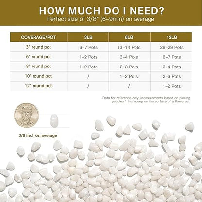 NUPICK 12 lbs Pebbles for Indoor Plants, 3/8 Inch Pea Gravel for Fish Tank, Polished Decorative Rocks for Succulent, Natural River Stones for Vases, Cactus, Landscaping, Bird Bath, Aquarium, White