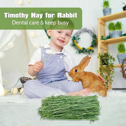 Fhiny Timothy Hay for Rabbit, 2.2LB Hand-Selected Premium Natural Timothy Hay Chinchilla Hay Hamster Food for Bunny Guinea Pig Chinchilla Hamster & Other Small Animals