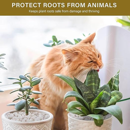 NUPICK 12 lbs Pebbles for Indoor Plants, 3/8 Inch Pea Gravel for Fish Tank, Polished Decorative Rocks for Succulent, Natural River Stones for Vases, Cactus, Landscaping, Bird Bath, Aquarium, White