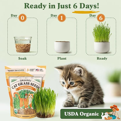 Seedboy Organic Cat Grass Seeds for Planting, Non-GMO Wheat, Oat, Rye, and Barley Pet Grass Seeds for Indoor Cats (8 oz)
