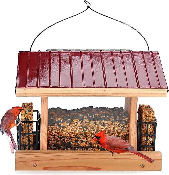 XL Large Hopper Bird Feeders for Outside - DIY Birdfeeder Kits for Adults to Build - Ranch Feeder W/Suet Cages - Heavy Duty 3/4" Red Cedar - Longtime Durability - 5 Lbs Compacity, 13" Size