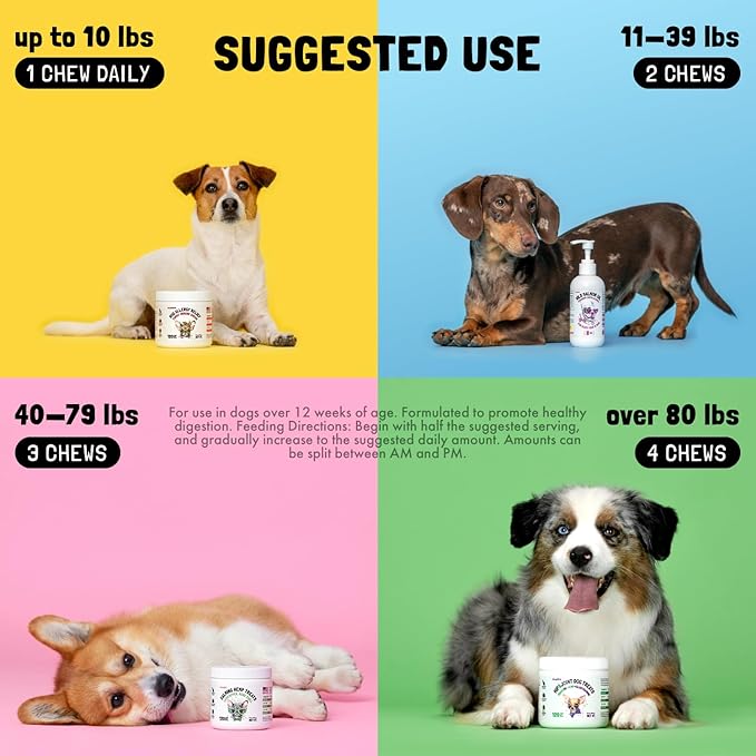 Mushroom Complex Treats for Dogs with Reishi, Shiitake, and Turkey Tail Mushrooms for Cognition and Immune Boosting Supports Digestive Health and Reduces Inflammation DHA EPA Turmeric Kelp 30 Chews