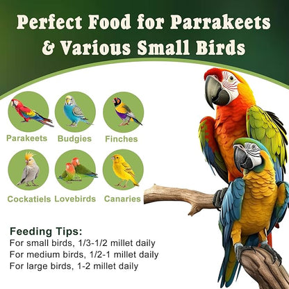 RANZ 5LBS Millet Spray for Birds, GMO-Free, Sun Dried Spray Millet, Original Bird Treats & Supplement for Parrots, Cockatiels, Lovebirds, Painted Buntings and Finches, Parakeets Food