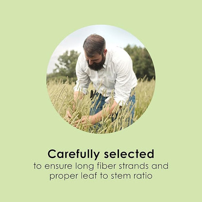 Kaytee Timothy Hay, High Fiber, Grown Specifically for Small Animals, Rabbits, Guinea Pigs, Chinchillas, 48 Ounces