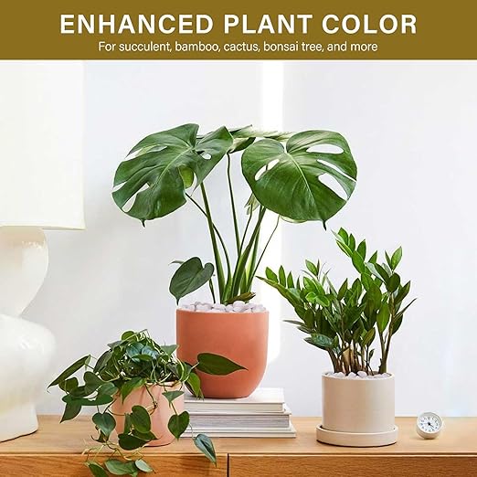 NUPICK 6 lbs Pebbles for Indoor Plants, 3/8 Inch Pea Gravel for Fish Tank, Polished Decorative Rocks for Succulent, Natural River Stones for Vases, Cactus, Landscaping, Bird Bath, Aquarium, White