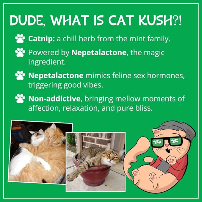 Organic Catnip, Safe Premium Blend Perfect for Cats, Instilled with Maximized Potency your Kitty is Sure to Go Crazy for (4 Cups)