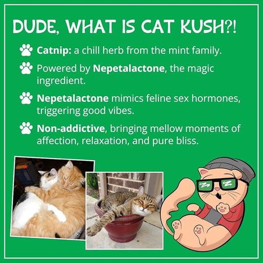 Organic Catnip, Safe Premium Blend Perfect for Cats, Instilled with Maximized Potency your Kitty is Sure to Go Crazy for (4 Cups)
