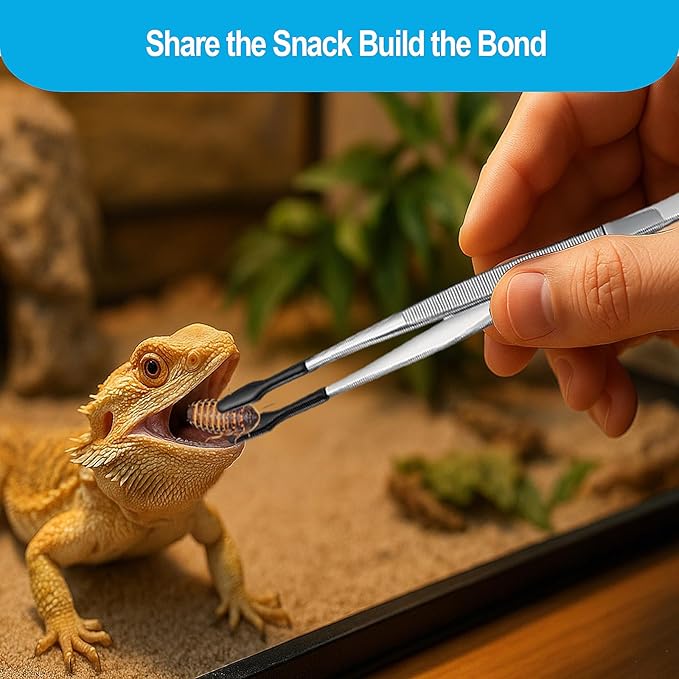 2Pcs Reptile Feeding Tongs with Rubber Tips, Leopard Gecko Tank Accessories, 6 Inch Food Tweezer for Bearded Dragon, Lizards, Jumping Spiders, Frogs and Turtles