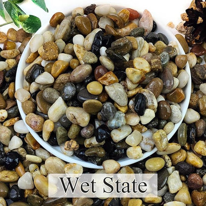 10lbs Natural River Rocks for Plants, 3/8" Aquarium Gravel Decorative Polished Mixed Pebbles for Fish Tank, Gardening, Flower Pots, Vase Fillers, Indoor Water Fountains, Landscaping