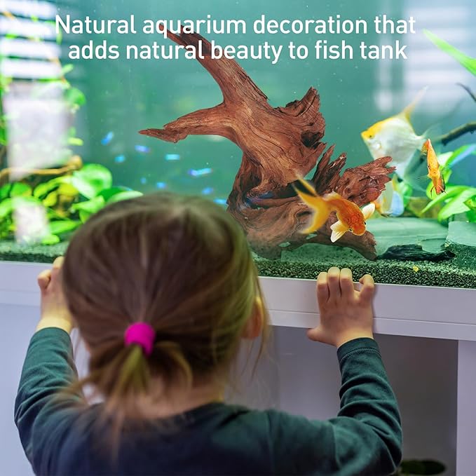 WDEFUN Natural Extral Large Driftwood for Aquarium Decor, 2-Piece 14''-18'' Driftwood for Decorations on Fish Tank, Reptiles Bearded Dragon Accessories or Air Plants