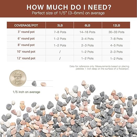 NUPICK 12 lbs Pebbles for Indoor Plants, 1/5 Inch Pea Gravel for Fish Tank, Decorative Rocks for Succulent, Natural River Stones for Vases, Cactus, Landscaping, Bird Bath, Aquarium, Mixed