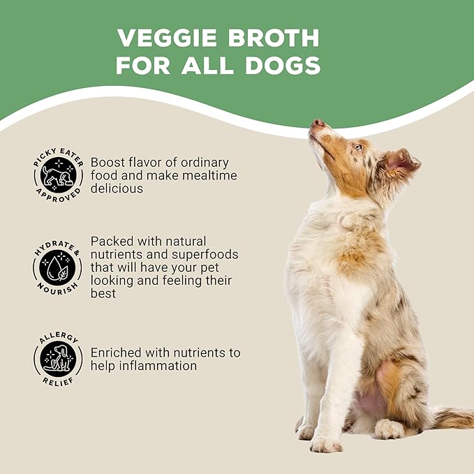 Brutus Broth Skin and Coat Meal Toppers for Dogs Mega Pack (Salmon Flavor) - Vegetable Broth Powder with Omegas 3, 6 & 9 - Dog Food Toppers for Dry Food - Makes 130oz of Liquid Bone Broth