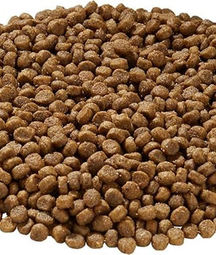 Health Extension Little Bites Dry Dog Food for Small Breeds, Chicken & Brown Rice Recipe, with Probiotics & Superfoods for Digestion & Coat Health, 10 lb Bag (Pack of 1)