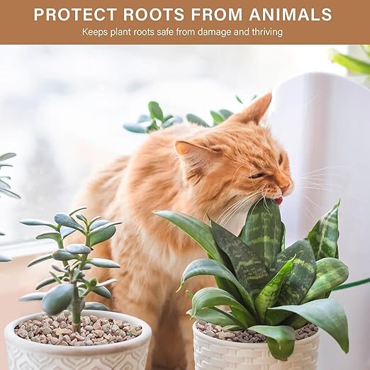 NUPICK 3 lbs Pebbles for Indoor Plants, 1/5 Inch Pea Gravel for Fish Tank, Decorative Rocks for Succulent, Natural River Stones for Vases, Cactus, Landscaping, Bird Bath, Aquarium, Peach