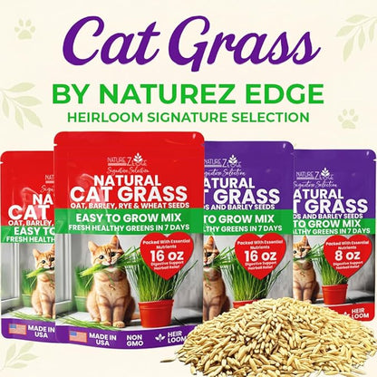 NatureZ Edge Premium Cat Grass Seeds for Indoor Cats, Non GMO - 1 lb Oat, Wheat, Barley & Rye Grass for Indoor Cats, Cat Plant, Kitty Lawn, Pet Grass, Hierba para Gatos, Made in USA