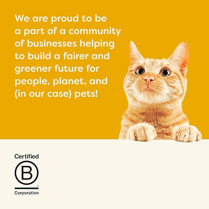 Applaws Natural Wet Cat Food, Made with Limited and Natural Ingredients, High Protein with No Artificial Additives or Fillers, Chicken Breast in Gravy (24 x 2.47oz Cans)