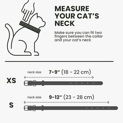 BRONZEDOG Leather Cat Collar with Removable Bells Non Breakaway Kitten QR Tag for Girl Boy (9" - 12" Cats/Mini Dogs, Black & Gold)